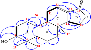 Image result for Cyphostemma crotalarioides