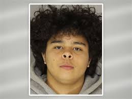 Homewood man to be sentenced in May for 2016 killing