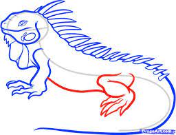 How to draw lizard iguana step by step tutorial. How To Draw An Iguana Step By Step Reptiles Animals Free Drawings Coloring Pages Animal Drawings