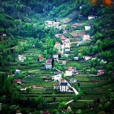 Tripadvisor has 1,565 reviews of artvin hotels, attractions, and restaurants making it your best artvin resource. Artvin Turkei