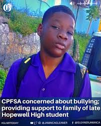 Concerns Over Bullying After Hopewell Student's Tragic Death