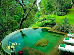 Pin By The Flower Chef On Decorate Small Pool Design Dream Pools Pool Designs