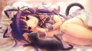 What is Nekomimi and Nekomusume? | hXcHector.com
