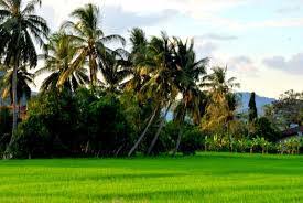 Messrs haris salleh & co. Messrs Haris Salleh Co Home Facebook