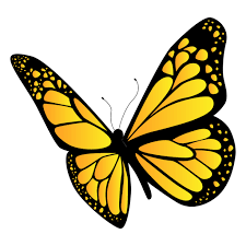 Diseno De Mariposa Amarilla Descargar Png Svg Transparente Disenos De Mariposas Imagenes De Pinturas Abstractas Mariposas Amarillas