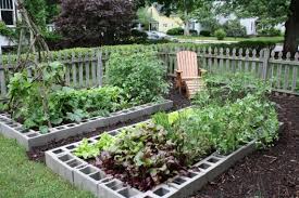 Winter Squash Bake Cinder Block Garden Garden Layout Vegetable Vegetable Garden Layout Plan