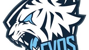 Namun juga hal yang familiar bagi beberapa orang, penggemar video game khususnya. Evos Dari Esports Menuju Ke Basket Ibl