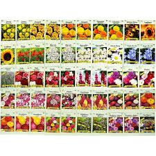 Check out our lavender seeds selection for the very best in unique or custom, handmade pieces from our садоводство и растения shops. Set Of 50 Assorted Flower Seed Packets Flower Seeds In Bulk 20 Varieties Available Walmart Com Walmart Com