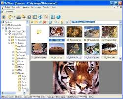 Xnview is a free software for windows that allows you to view, resize and edit your photos. Xnview Free Download