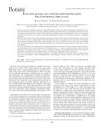 Pdf Palm Stem Anatomy And Computer Aided Identification The Coryphoideae Arecaceae