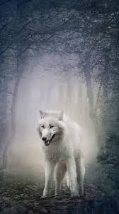 1920 x 1080, 569 kb. Cool White Wolf Wallpapers Top Free Cool White Wolf Backgrounds Wallpaperaccess