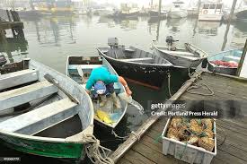 Bob Greenleaf takes bait out to his lobster boat off the town dock in...  News Photo