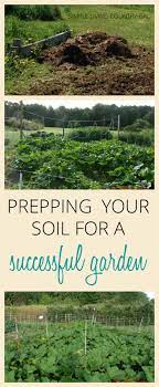 The Steps You Need To Take Before You Plant Your Garden This Season Dream Backyard Garden Gardening For Beginners Healthy Garden