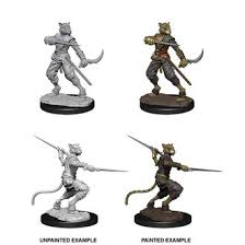 Nolzur S Marvelous Miniatures Female Tabaxi Rogue Boardgames Ca 2 female tabaxi rogues 2 bases. female tabaxi rogue