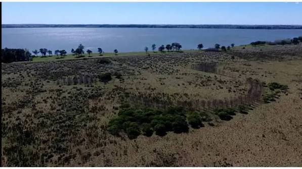 Campo Venta Laguna De Chascomus