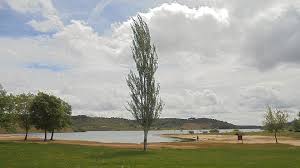 Uma bela presa de água alimentada pelo rio lage, mesmo no meio da natureza torna a experiência de cada visitante única, num local de rara beleza e autenticidade. Praia Fluvial Da Ribeira Www Visitportugal Com