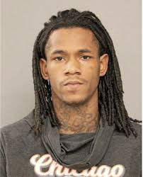 ᐅ Illinois Criminal Records 2009-2026