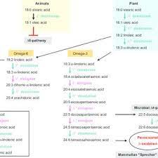 Pdf Transgenic Plants
