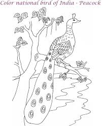 Peacock Printable Coloring Page For Kids Peacock Coloring Pages Bird Coloring Pages Animal Coloring Pages