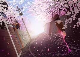 190 sakura hd wallpapers and background images. Cherry Blossom Anime Wallpapers Wallpaper Cave
