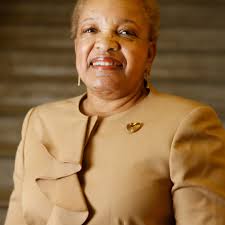 Dena Cranley's excellent adventure