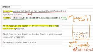 We did not find results for: Assertion A Plant Cell Does Not Swell Up Or Burst If Placed In A Hypotonic Solution Reason Rigid Cell Wall Does Not Let The Plant Cell Expand