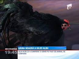 28 iulie 1981, pitești, românia) este o stilistă, critic de modă și vedetă de televiziune din românia. Iulia Albu Si A Luat O Gaina De Companie Observatornews Ro