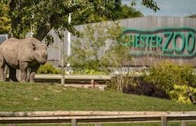 Read about their experiences and share your own! Chester Zoo Uk Family Day Out Cheshire
