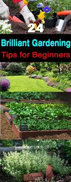 24 Brilliant Gardening Tips For Beginners Gardening For Beginners Organic Gardening Tips Gardening Advice