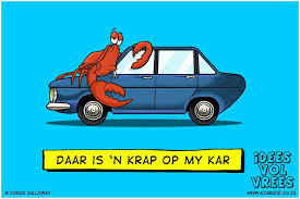 Pin By Elizmari Schoeman On Humor Me Afrikaans Funny Translations Funny Jokes