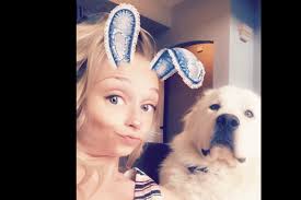 AKC Puppies For Sale Near Sikeston, MO