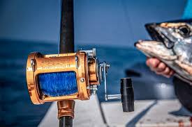 Penn Jigmaster Conventional Reel | Dick'S Sporting Goods