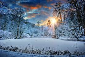 1920x1200 Sunbeams Landscape Snow In Winter Trees 4k 1080p Resolution Hd 4k Wallpapers Images Backgrounds Photos And Pictures I see each day in the blog stats that you, the visitors, are downloading wallpapers from the selection available.