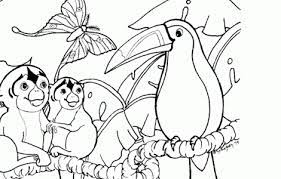 An exceptional coloring book with 50 dreamy designs of playful jungle dwellers, tropical flowers, fanciful doors and houses, amusing little scenes, and much more author: Amazon Rainforest Coloring Pages Coloringpageskid Com Rainforest Animals Animal Coloring Pages Amazon Rainforest Animals