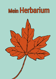 Diskussionen, tipps und infos zu reisen, sprachen, menschen, visa, kultur oder für nette bekanntschaften in der ukraine Herbarium Deckblatt 1 Deckblatt Vorlage Herbarium Vorlage Deckblatt