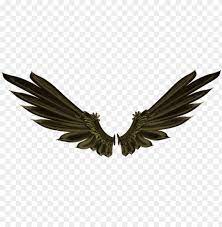 Raven Wings Png Image With Transparent Background Toppng