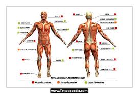 Factors that can change your tattoo pain tolerance Wondering How Much The Next Tattoo Will Hurt Bored Art