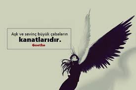 Kanat Ile Ilgili Sozler Https Ift Tt 2ktahcm Guzel Soz Kanatlar Gercekler