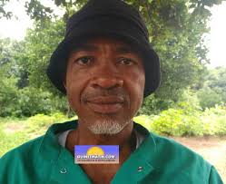 Après Dubaï, Libreville, Lomé, Dakar… Siddy devient planteur à Koumbia ! Il  explique tout à Guineematin