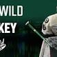 Iowa Wild vs. Rockford IceHogs