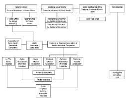 Organizational Chart Of The Swiss Healthcare System