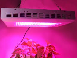 Growing oranges in pots allow you to enjoy its fruits in even if you have limited space! Triband Red Blue Orange 7 1 1 Plant Lamp Led Grow Light 120w Provide Light That Have The Same Effect As Natural Su Led Grow Lights Grow Light Bulbs Grow Lights