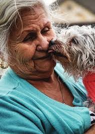 Cheryl Cotner's Instagram, Twitter & Facebook