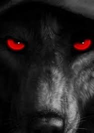 Alpha Wolf Alpha Wolf Wolf Painting Wolf Eyes