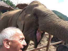 Jun 07, 2021 · sophie turner's red hair returns in fiery new selfie sophie turner is rocking red hair again. Try Doing A Selfie With Her Over Your Shoulder Picture Of Elephant Nature Park Chiang Mai Tripadvisor