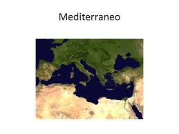 Frutta, verdura e cereali integrali, seguiti da frutta secca e semi, olii vegetali non tropicali, cereali raffinati a basso indice glicemico e latte fermentato. Mediterraneo Http It Wikipedia Org Wiki Dieta Mediterranea Italia Grecia Spagna E Marocco Ppt Scaricare