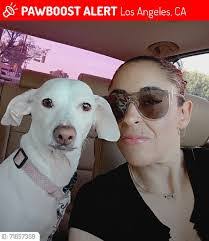 Austin Allgood's Instagram, Twitter & Facebook