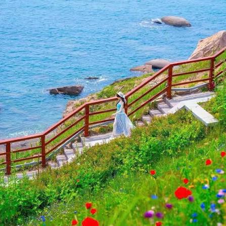 Đảo Tiểu Mạch - Thanh Đảo 🇨🇳 Công viên vừa có biển vừa có thông vừa có  nhiều view đẹp, nhìn thì nắng vậy thôi chứ thực tế thì không khí mùa