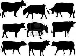 Cow Silhouette Collection Animal Silhouette Stock Art Cow Art