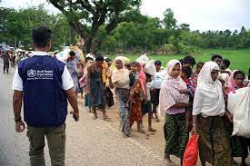 The world health organization (who) is a specialized agency of the united nations responsible for international public health. About Who